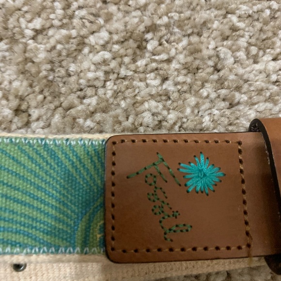 Fossil Other - Fossil belt